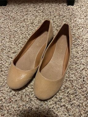 Classic Nude Textured Ballet Flats